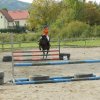 Babie Lato 2016